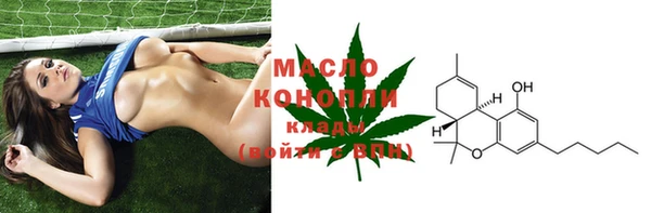 молекула духа Заводоуковск