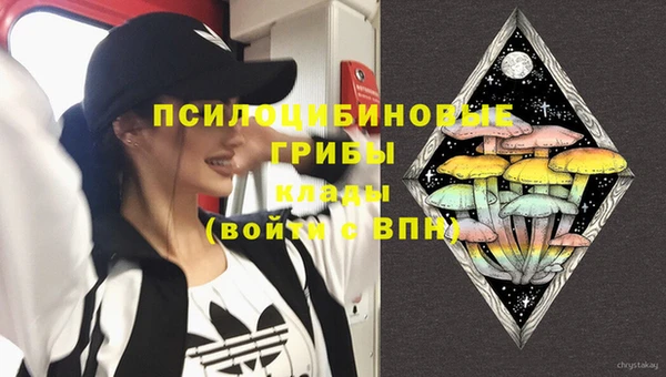 молекула духа Заводоуковск